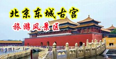 鸡巴插曲骚逼淫水视频中国北京-东城古宫旅游风景区
